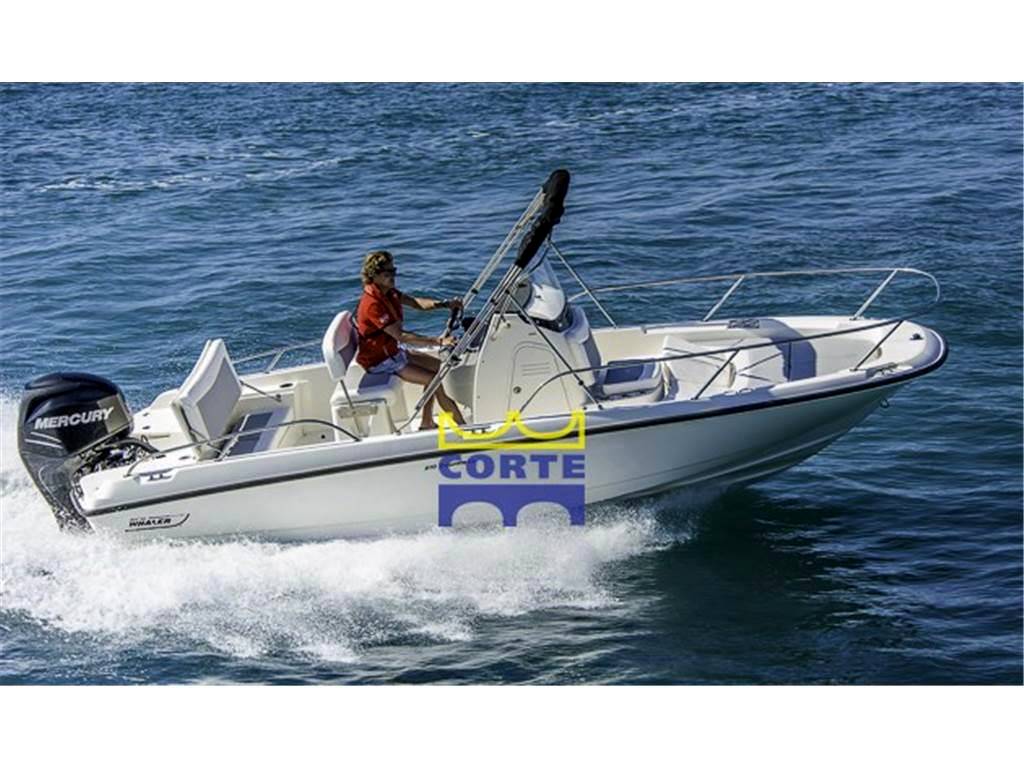 Boston whaler 210 dauntless