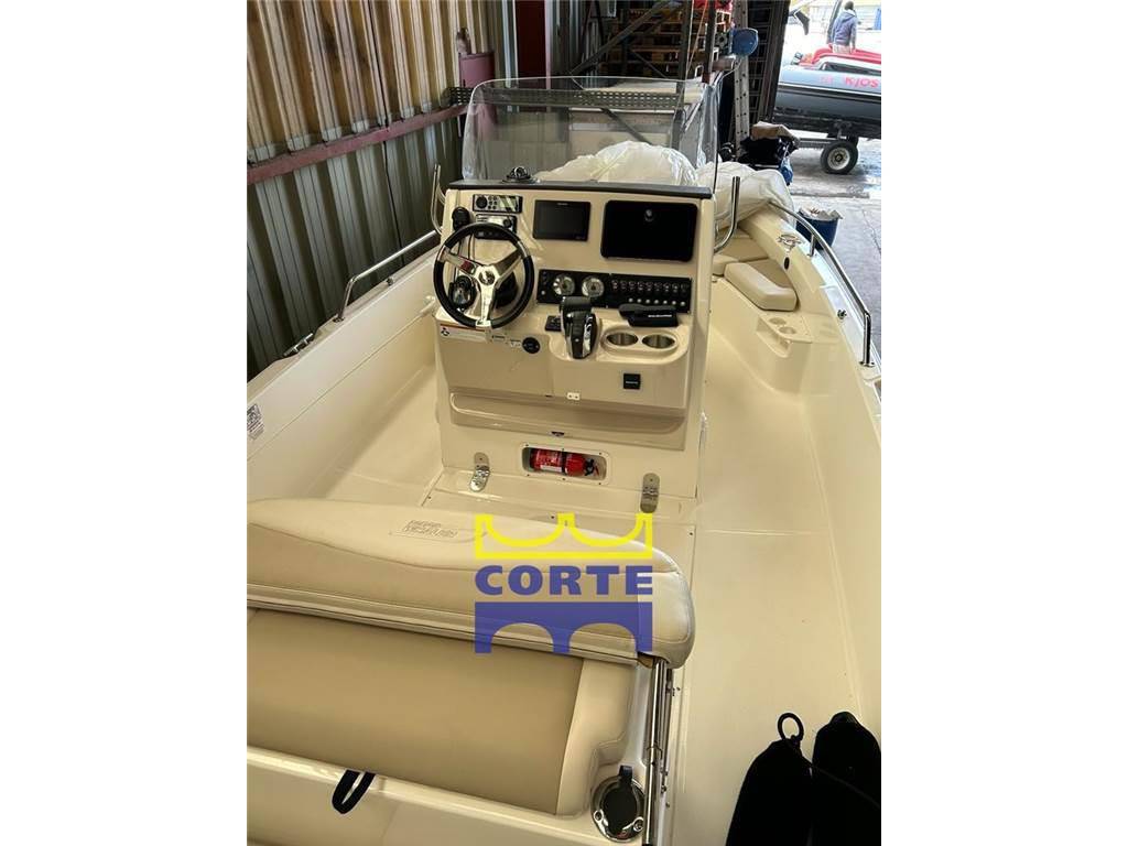 Boston whaler 210 dauntless