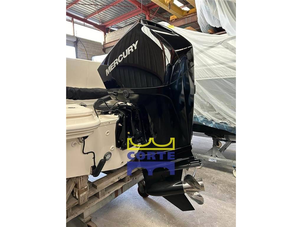Boston whaler 210 dauntless