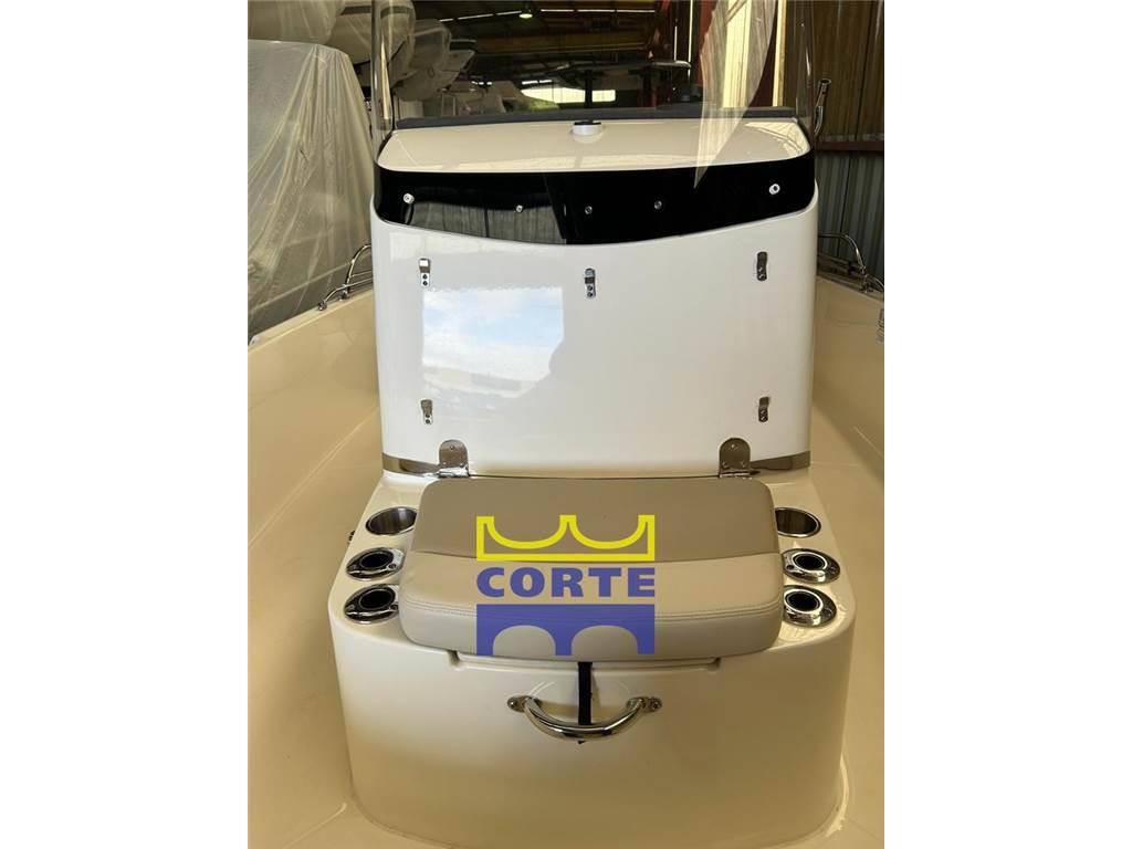 Boston whaler 210 dauntless