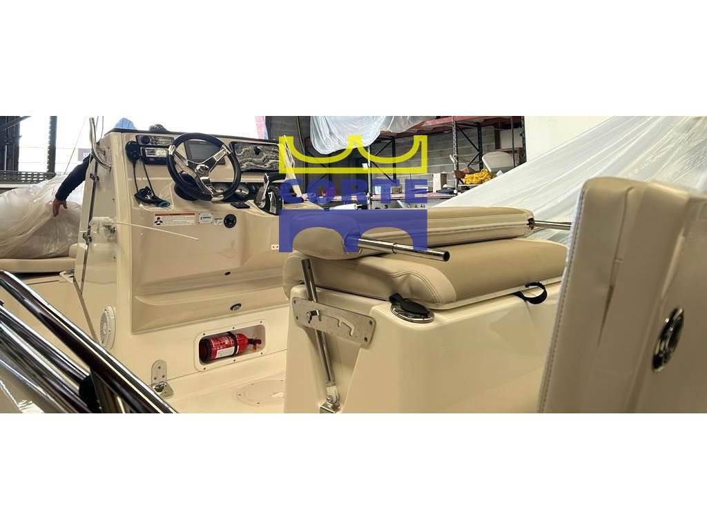 Boston whaler 210 dauntless