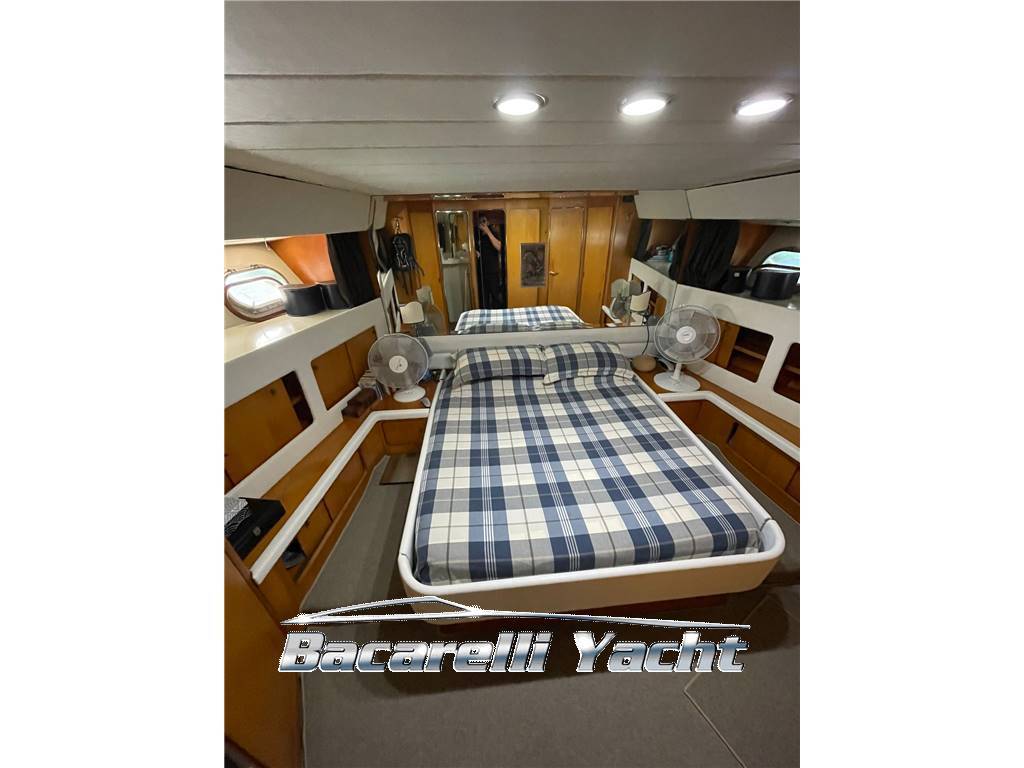 C.n spertini Alalunga 18