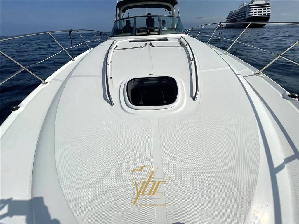 Sea ray 455 sundancer