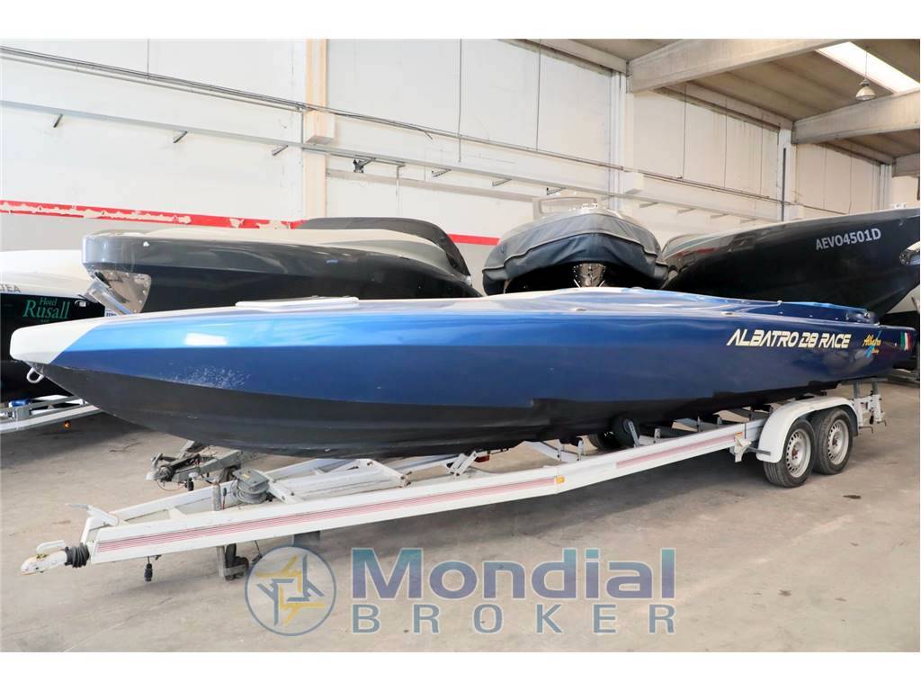 Albatro 28 race spider