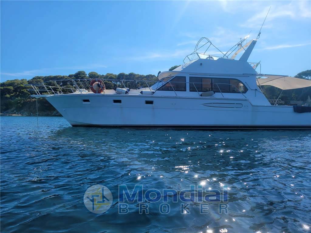 Hi star marine Hi star 52