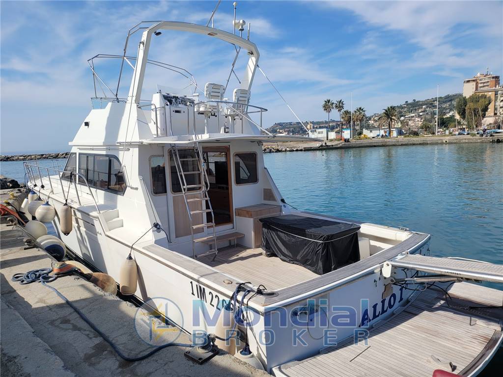 Hi star marine Hi star 52