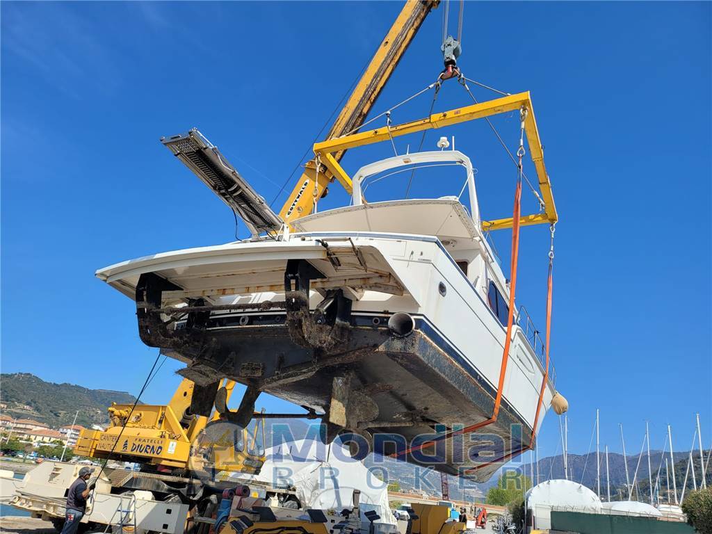 Hi star marine Hi star 52